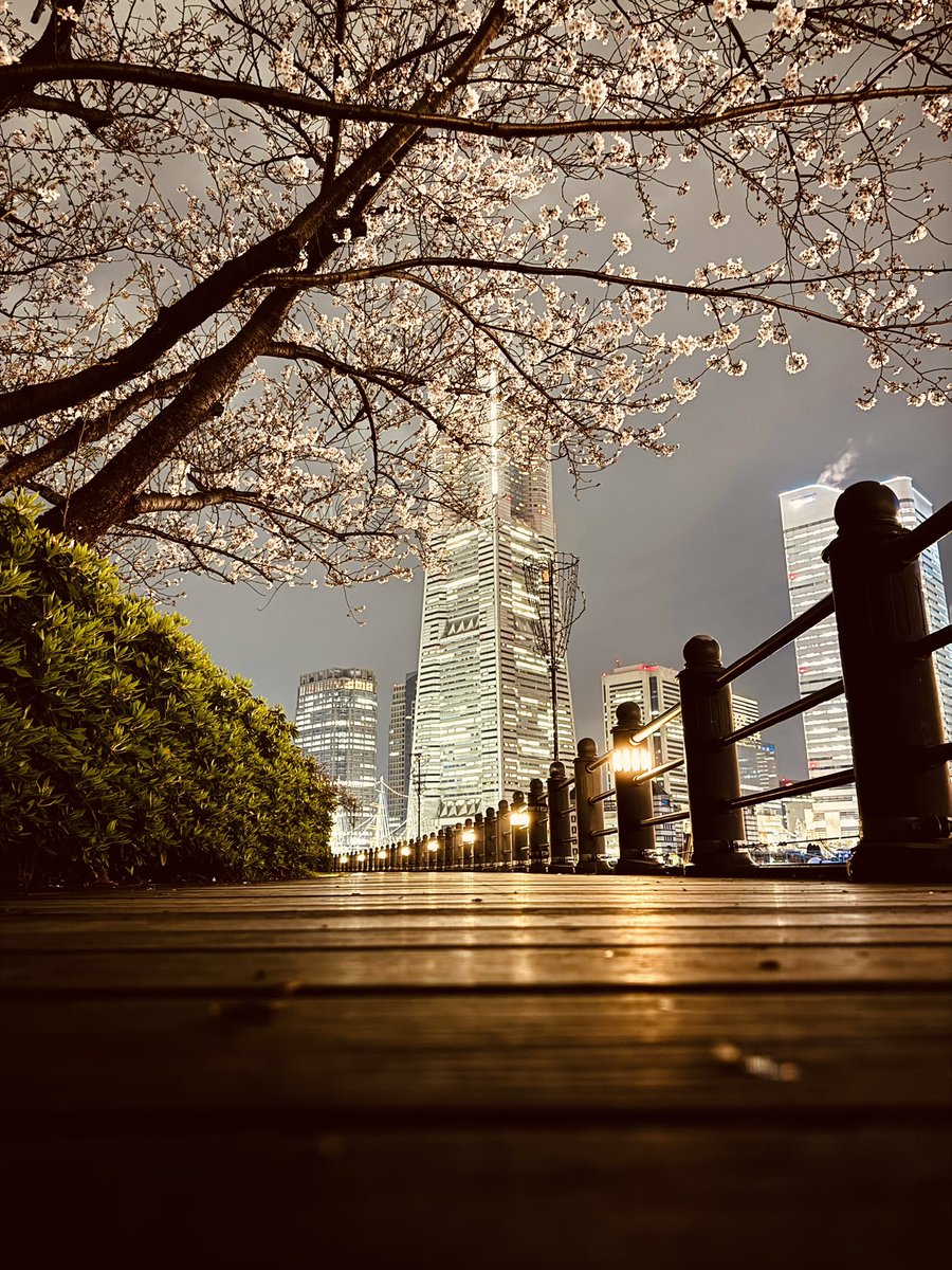 らいと ｜🇺🇸 Big Tech Engineer｜ tweet media