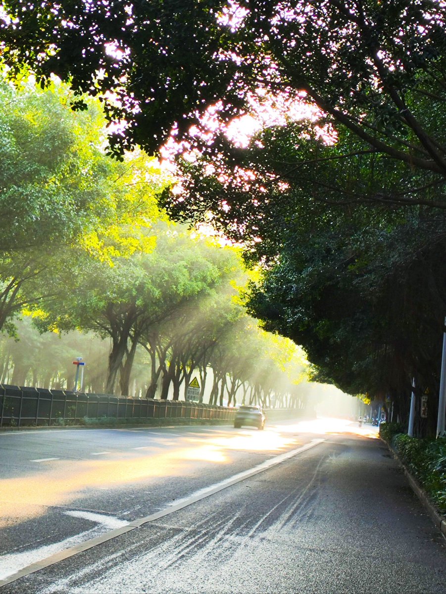 Bjørn Johansen tweet media