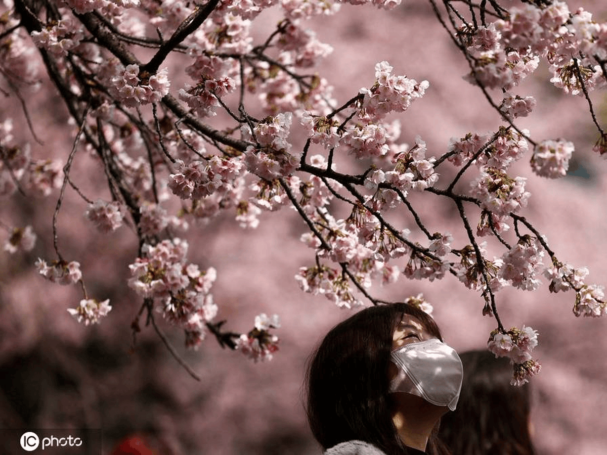 Haydon Yu tweet media