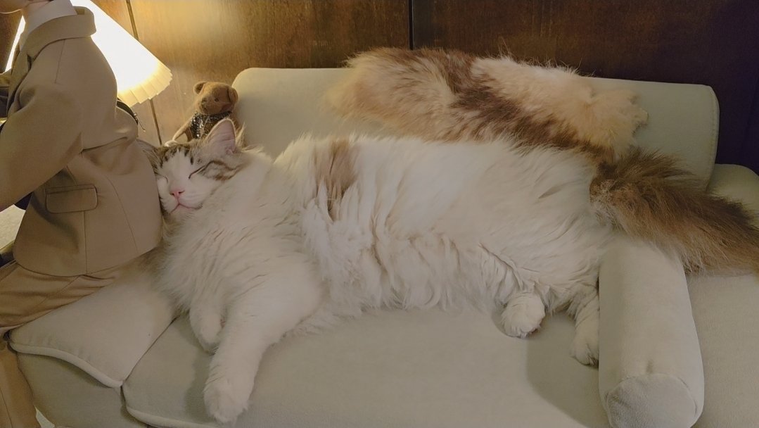 𝐀𝐩𝐩𝐥𝐢𝐮𝐡(애피유) tweet media