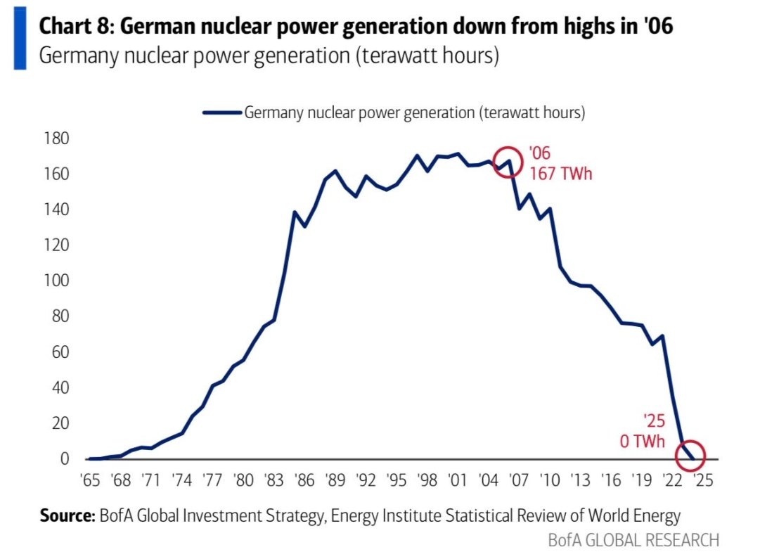 sovereignmind tweet media