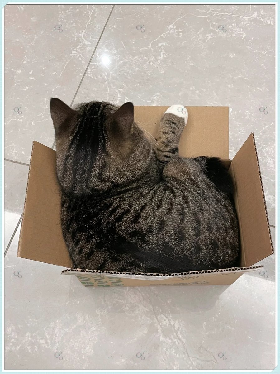 Pathsty Jutamat tweet media