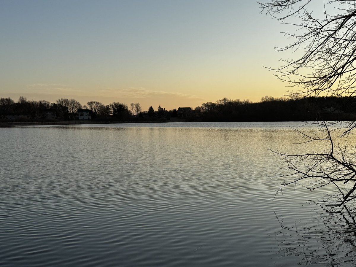 Minnesota McMurphy🦮🐾🦴 tweet media