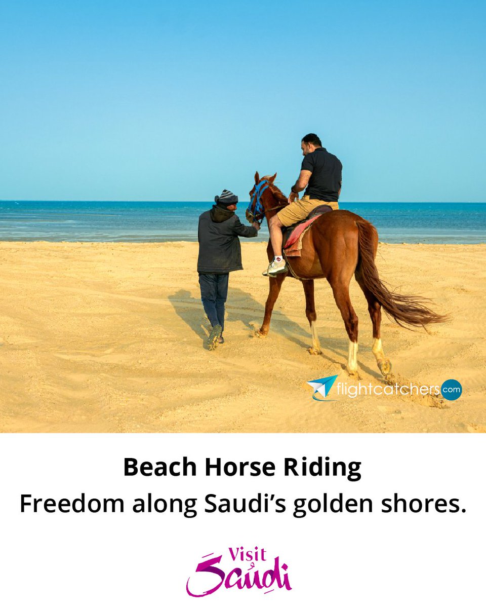 Flightcatchers.com tweet media