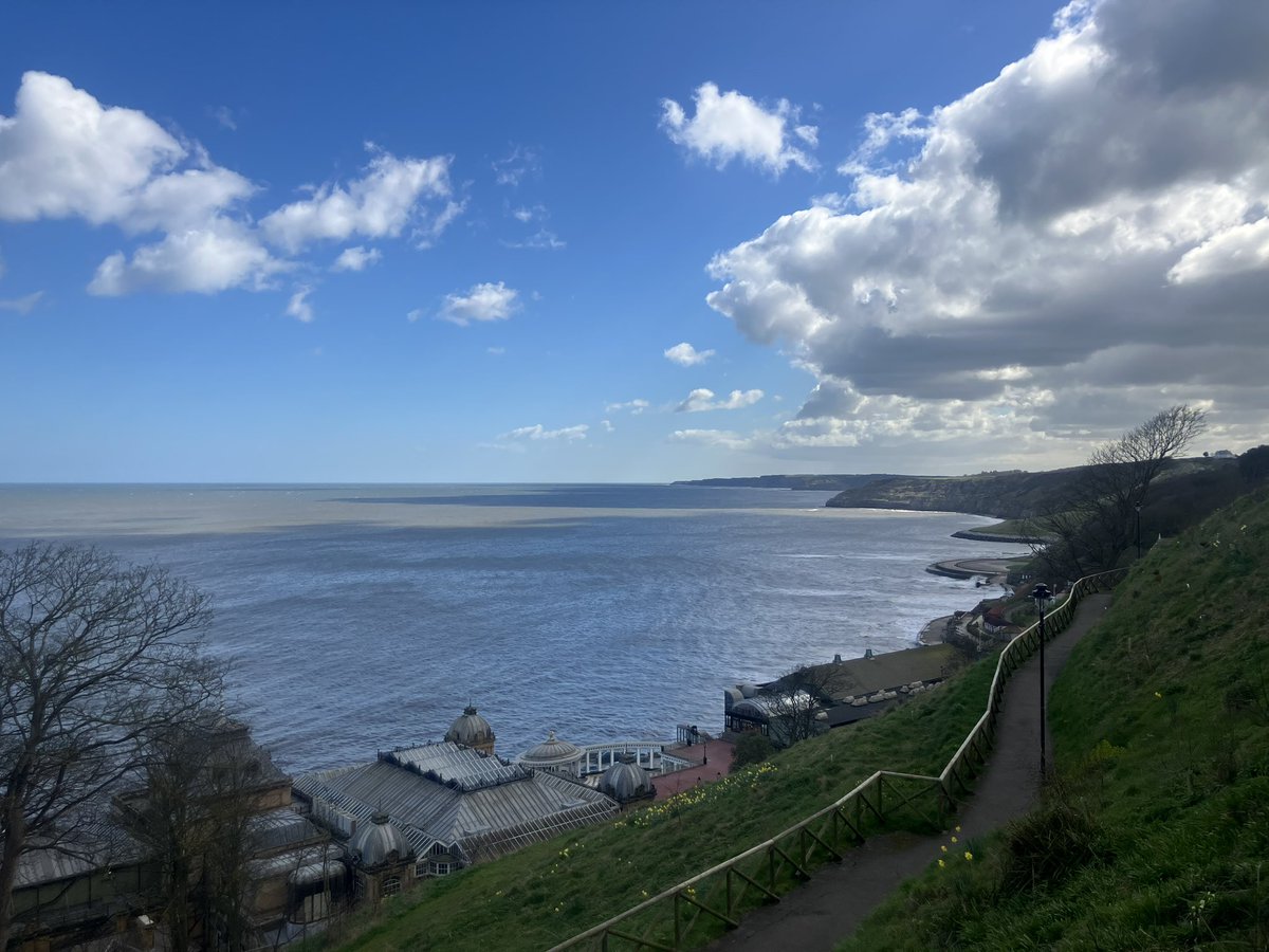 Tess Page tweet media