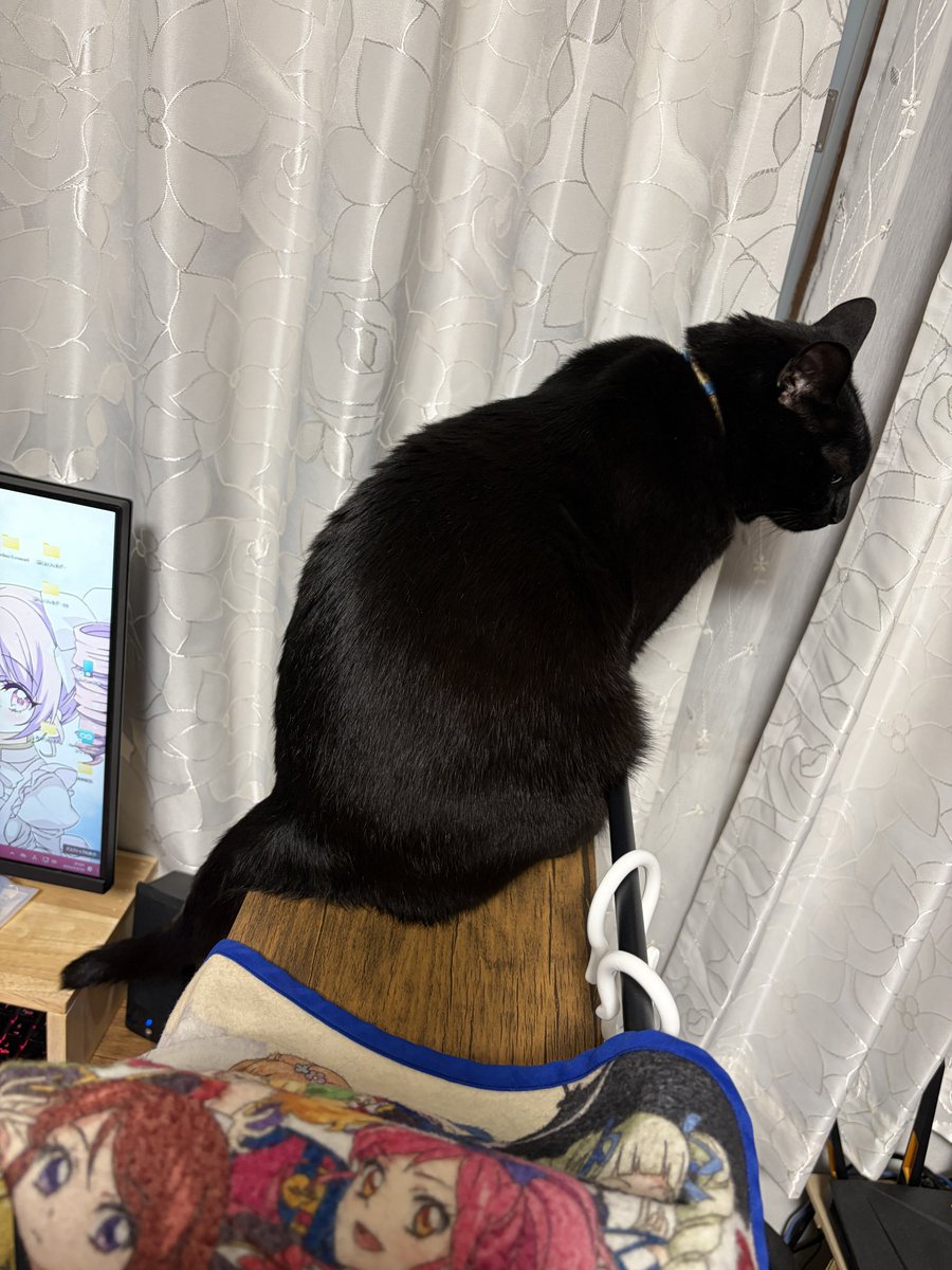 ちゃんかす。 tweet media