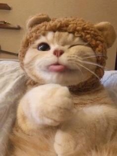 christine ☆ tweet media