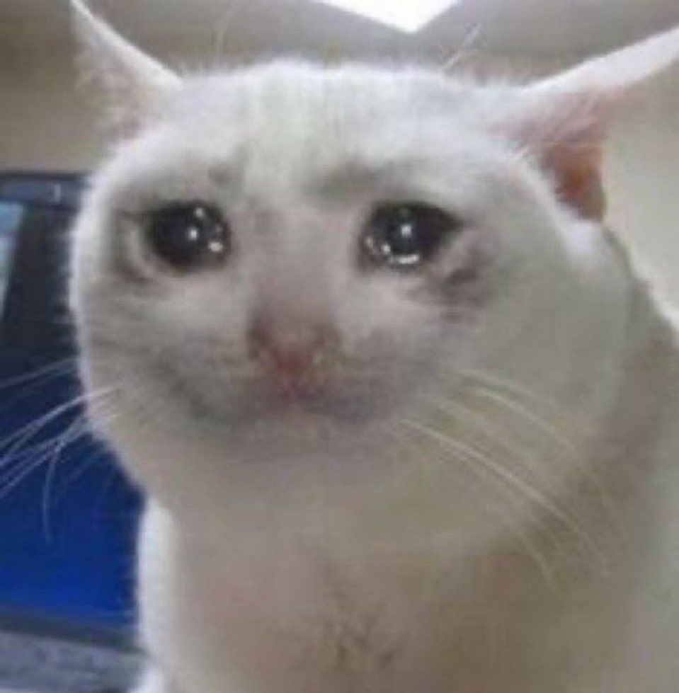 綺麗な花 1選 tweet media