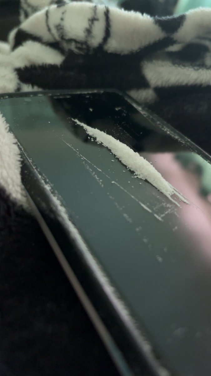 UntilQuietus tweet media