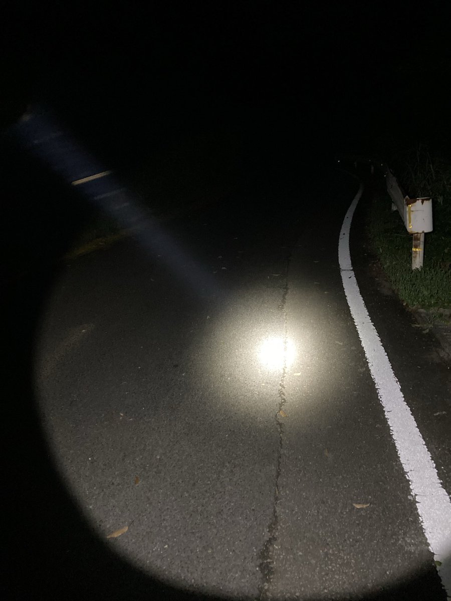 南国のハブ捕り師 tweet media