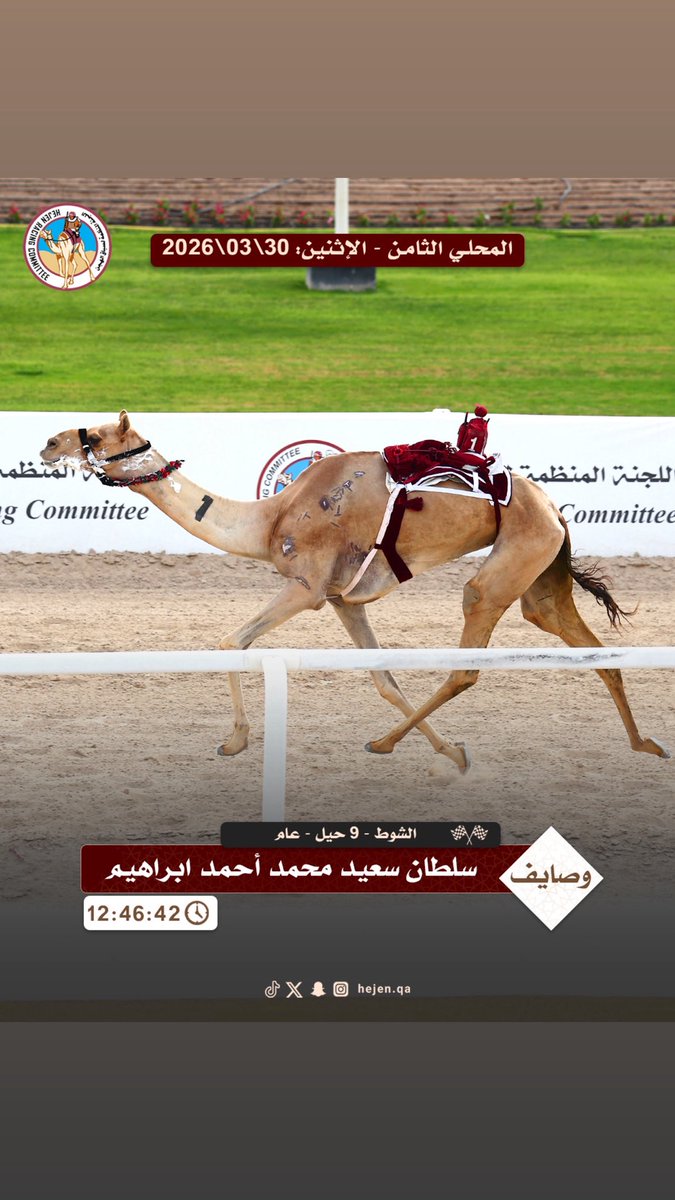 اللجنة المنظمة لسباق الهجن tweet media