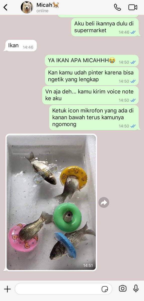 b̲a̲i̲y̲🎧 tweet media