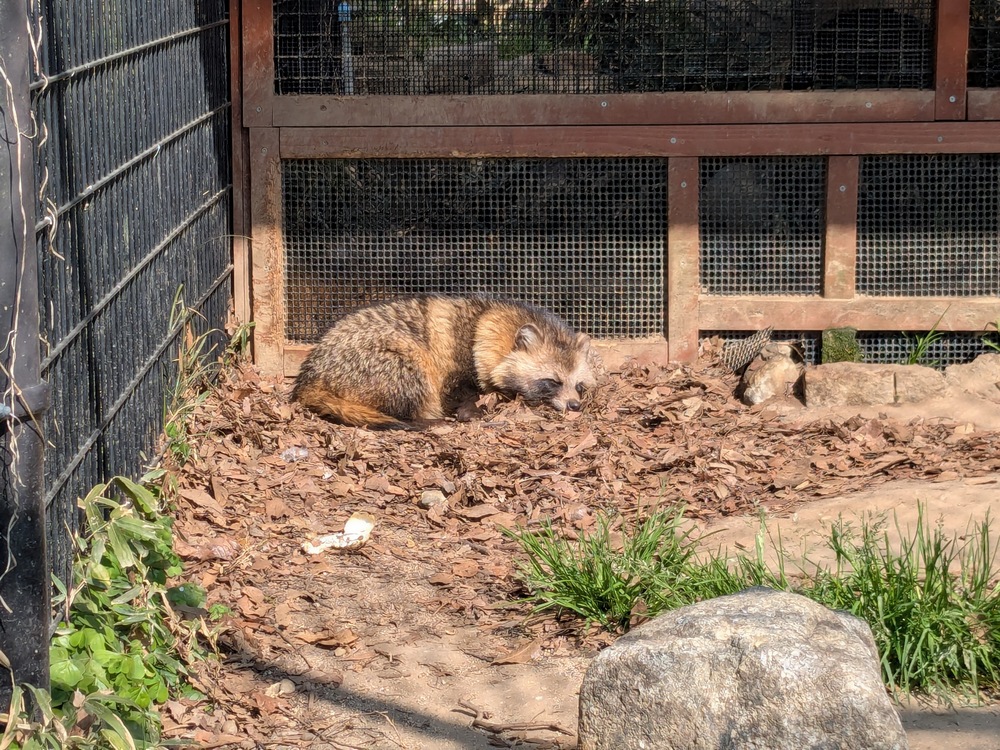 空色カラス tweet media