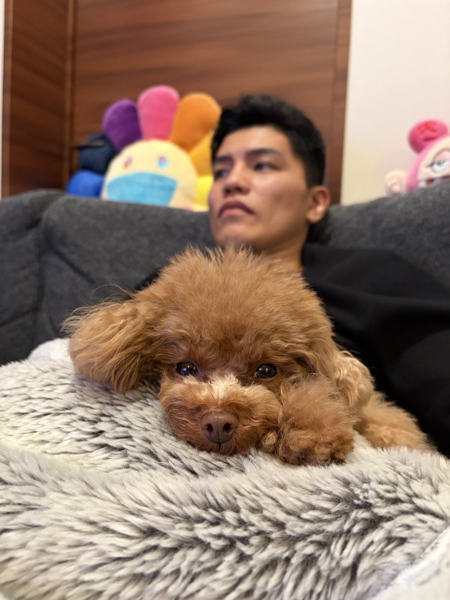 坪井 智也 “PHANTOM” tweet media