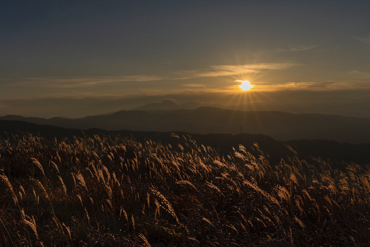 ひでフォト / HIDE Photo tweet media