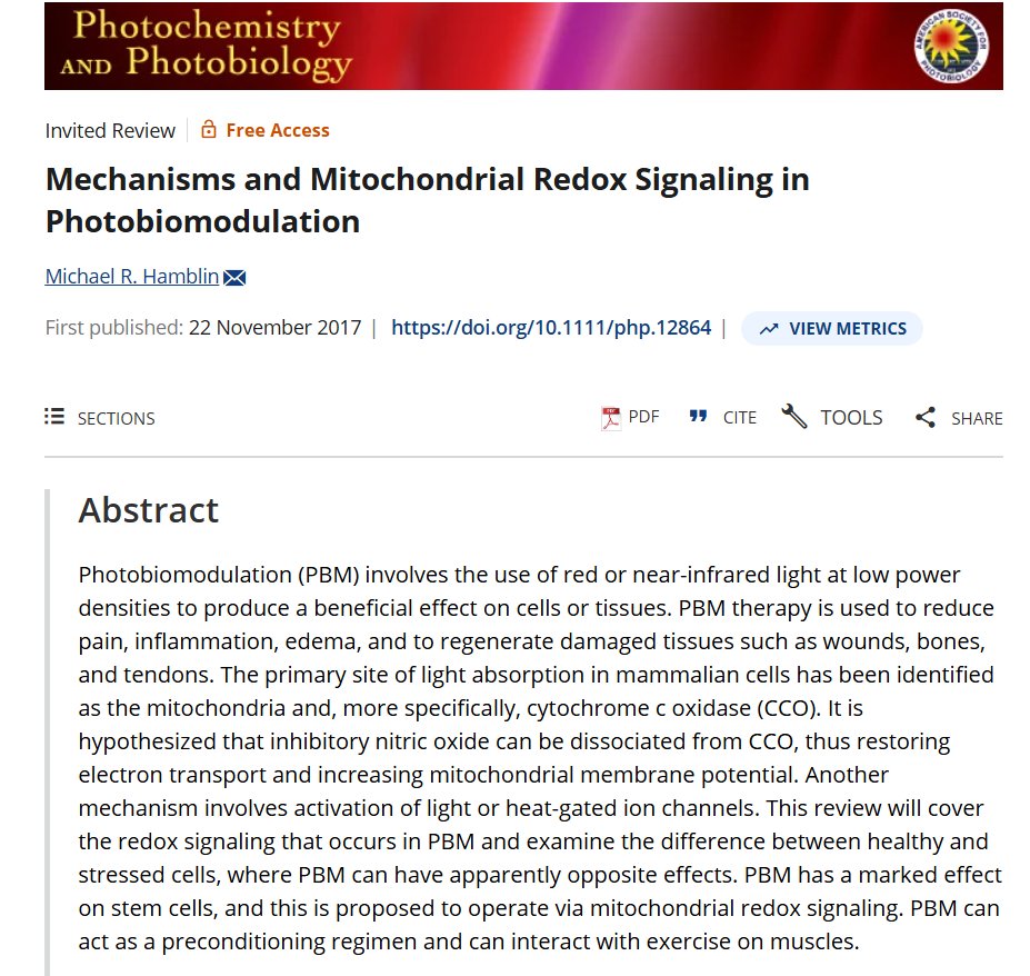⚡️ The Blue Light Diet ⚡️ tweet media