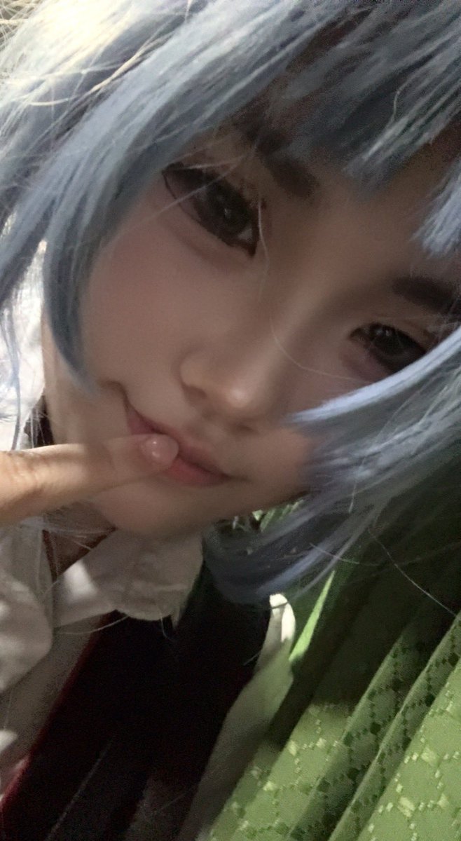 둘기 | 5수코양일 tweet media