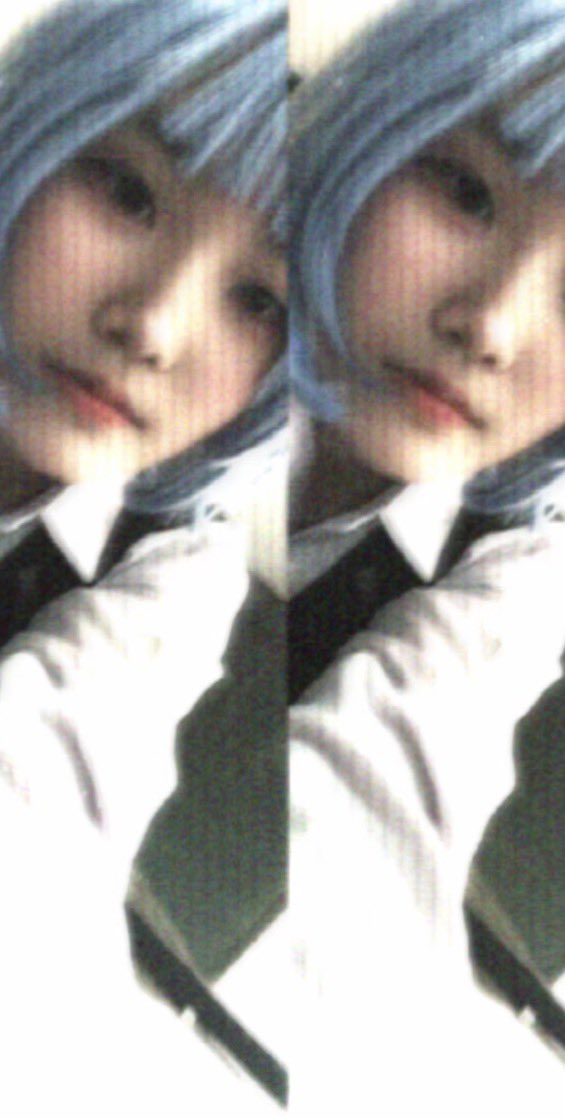 둘기 | 5수코양일 tweet media