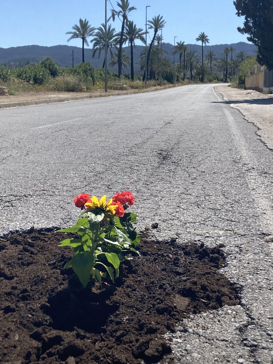 María Encarnación Carrillo García tweet media