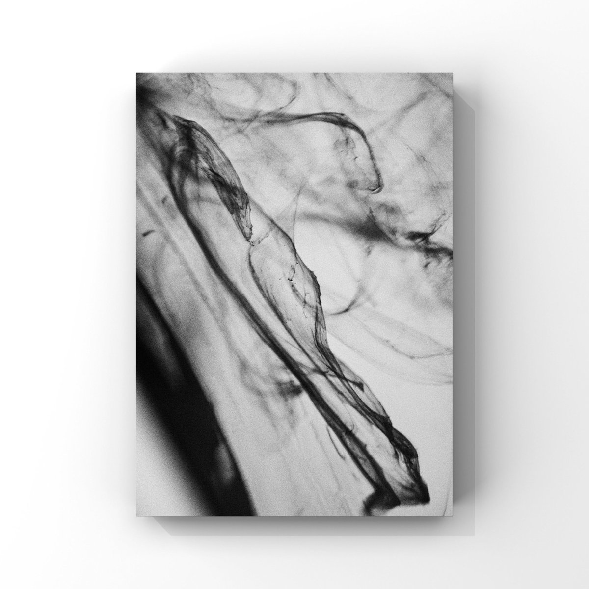 イソ|#ISO1638400 tweet media