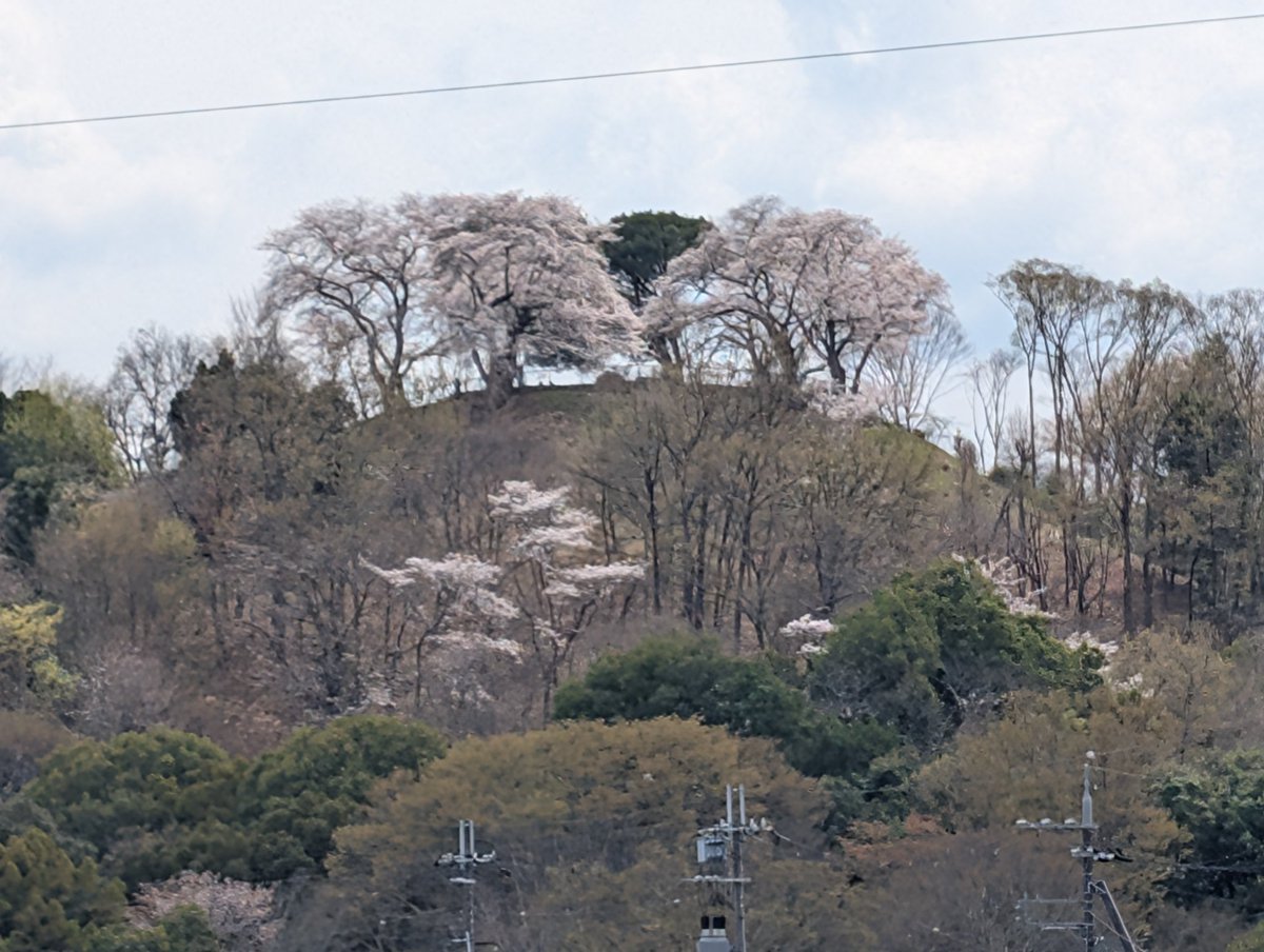 扶余と飛鳥 tweet media