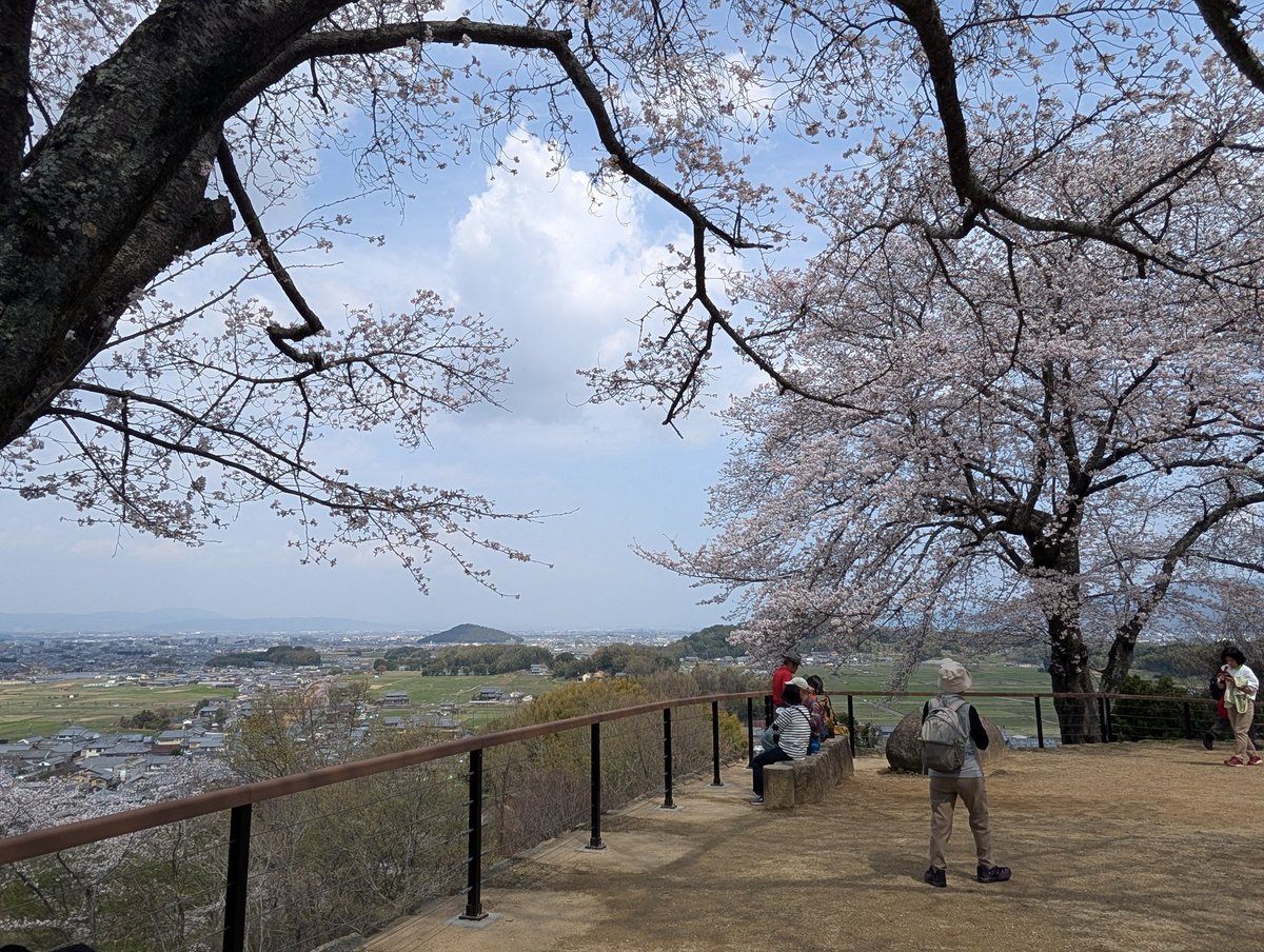 扶余と飛鳥 tweet media