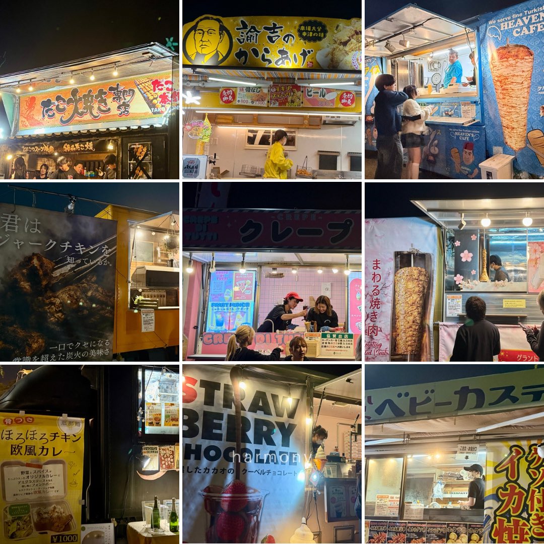 虎 with Blue Eyes tweet media