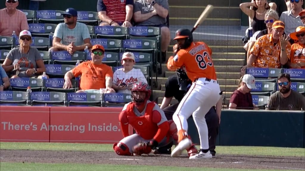 The Verge- An Orioles MiLB Podcast tweet media