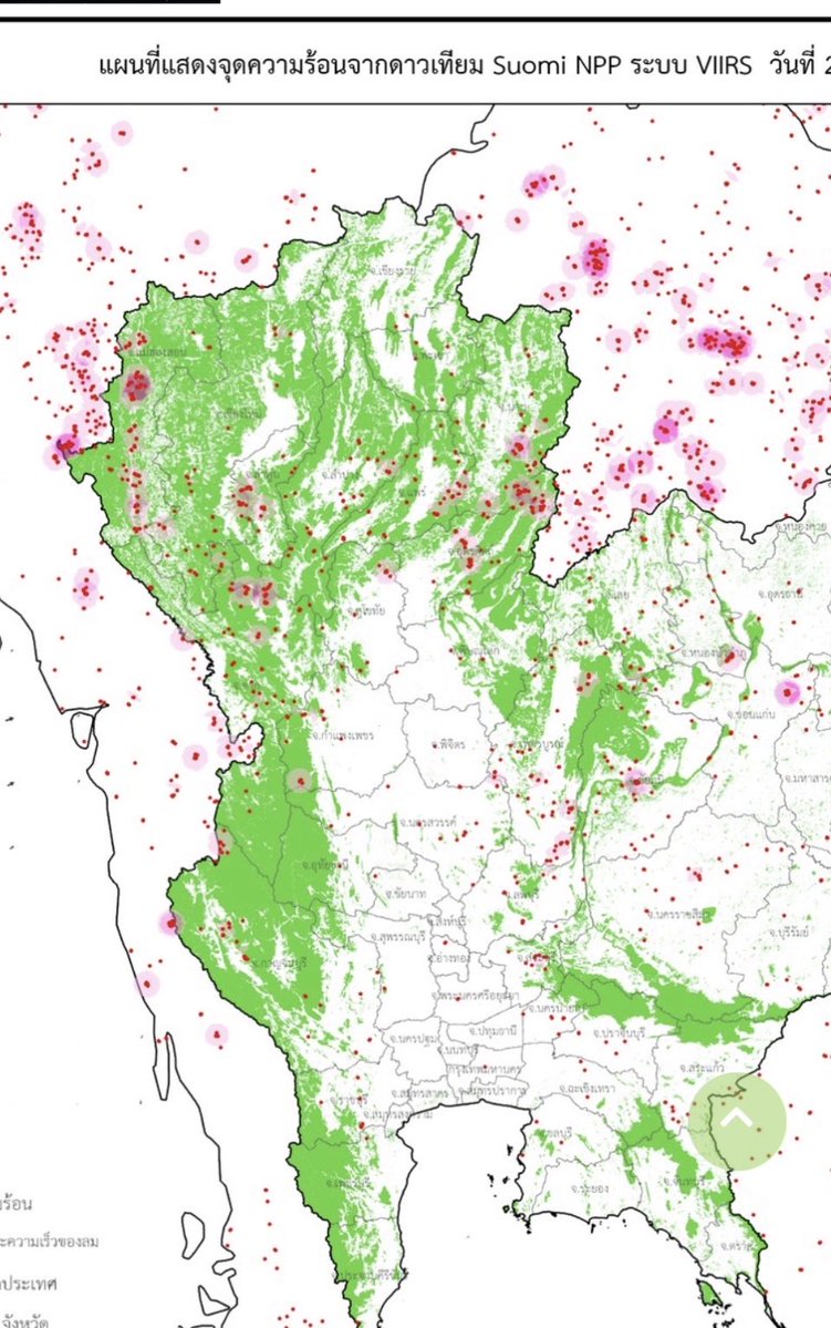 ถือแถน tweet media