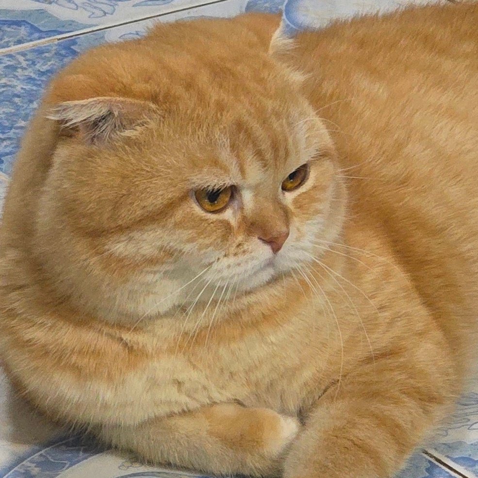 Prof.โบ้ล์ 🕯𝚂𝙾𝟷𝟶³ tweet media