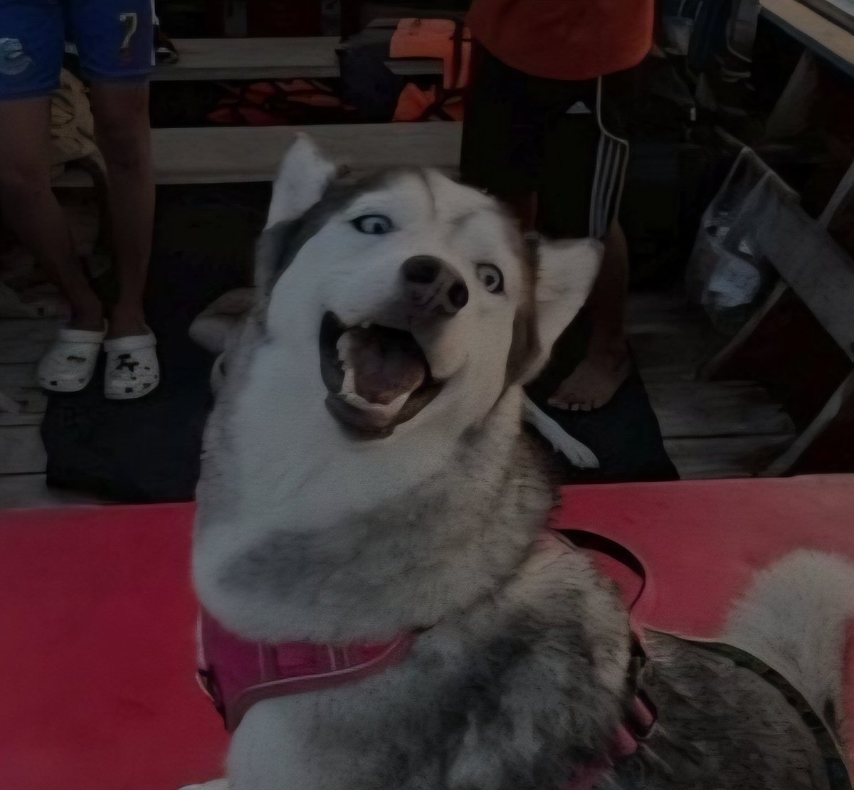 tmg🌻🪷 tweet media