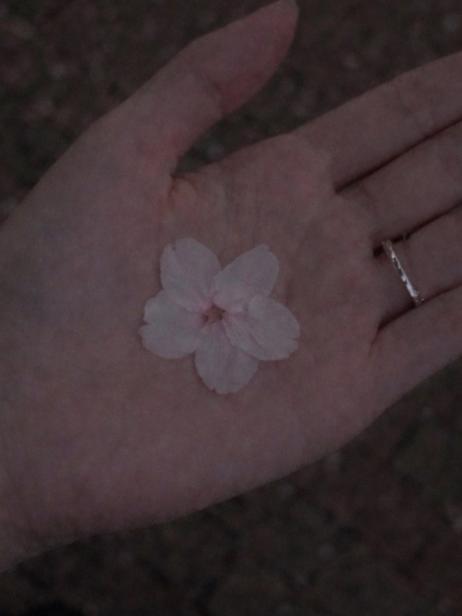 𝚃𝚘𝙰 tweet media