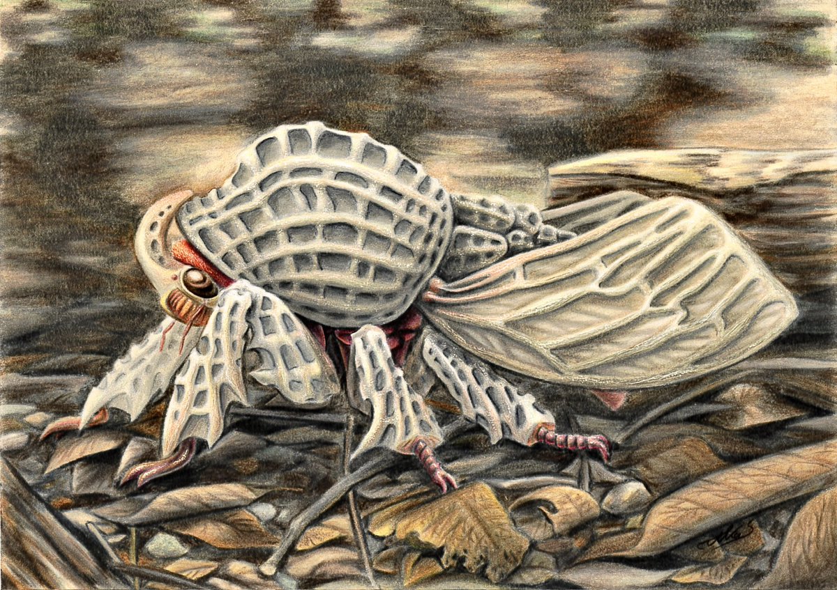 アルカリさん tweet media