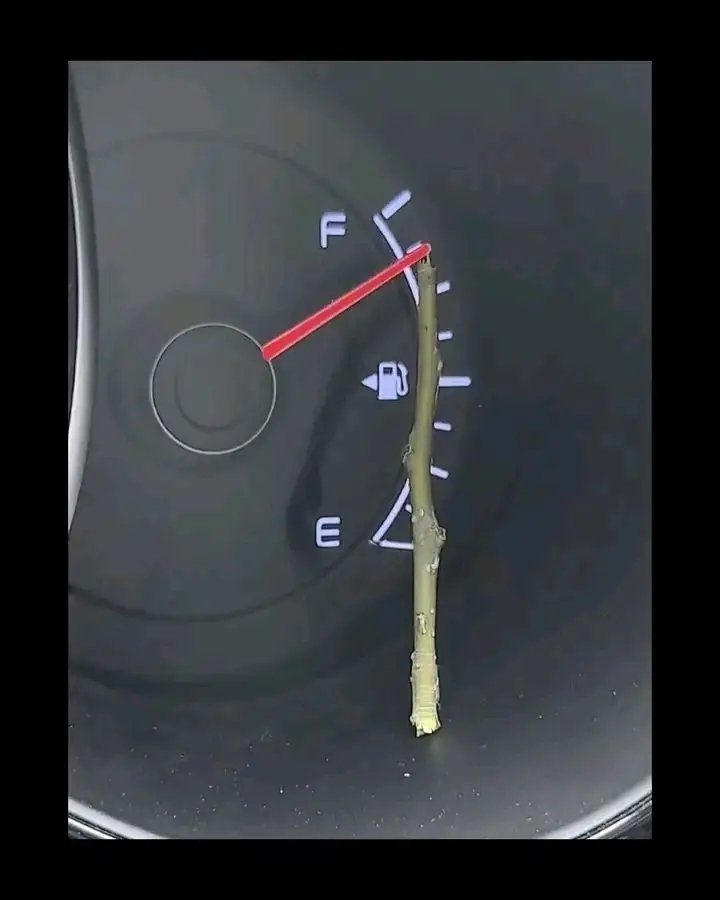 Budi Nugraha tweet media