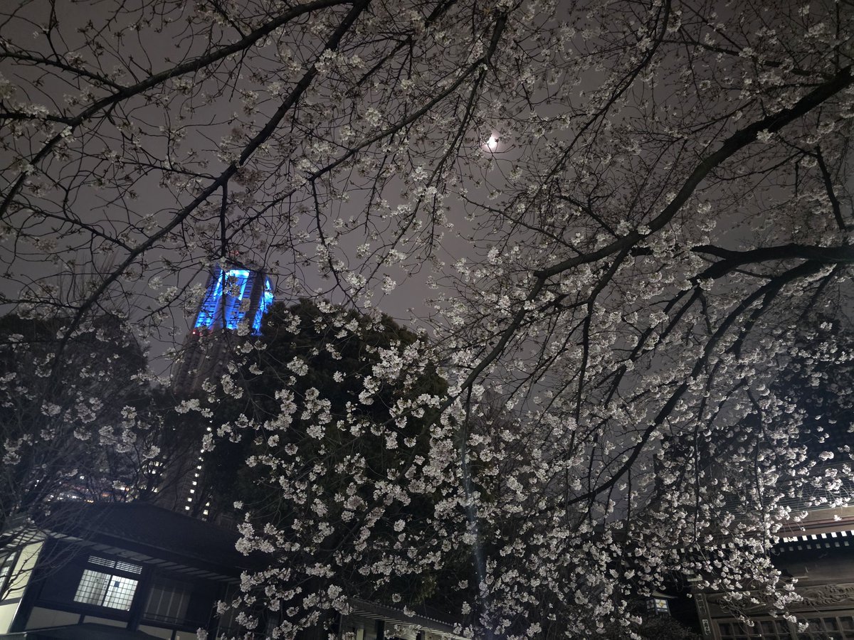 わず🐈🐍😲 tweet media