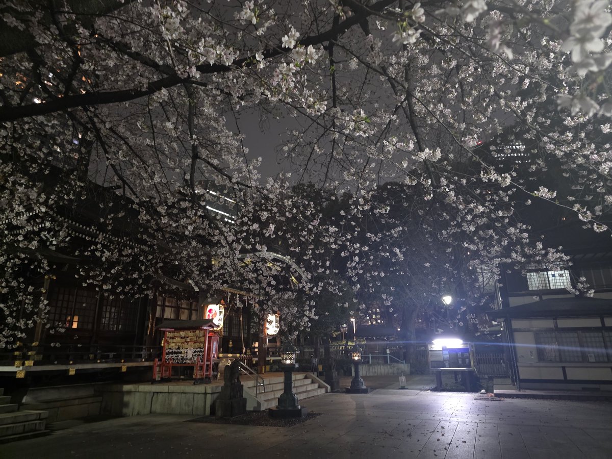 わず🐈🐍😲 tweet media