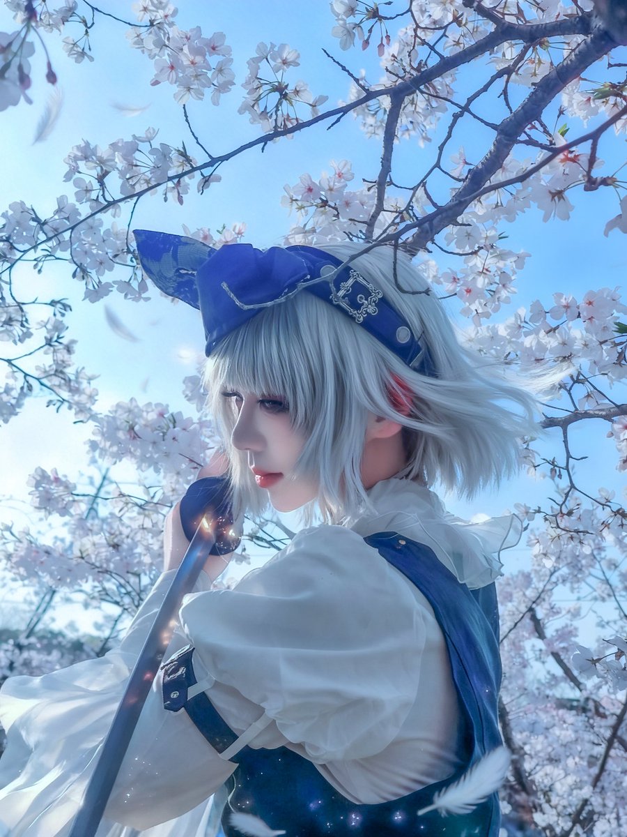 嘤樱桜雲 tweet media
