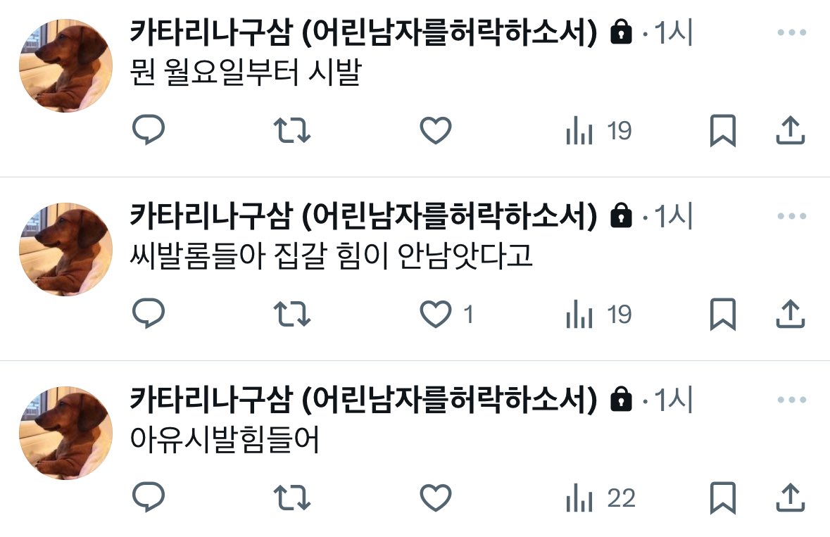 물레 tweet media