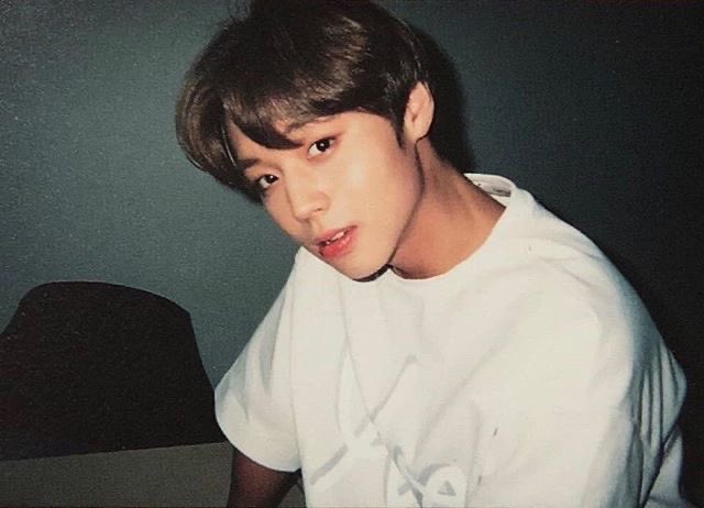 푸팸이 tweet media