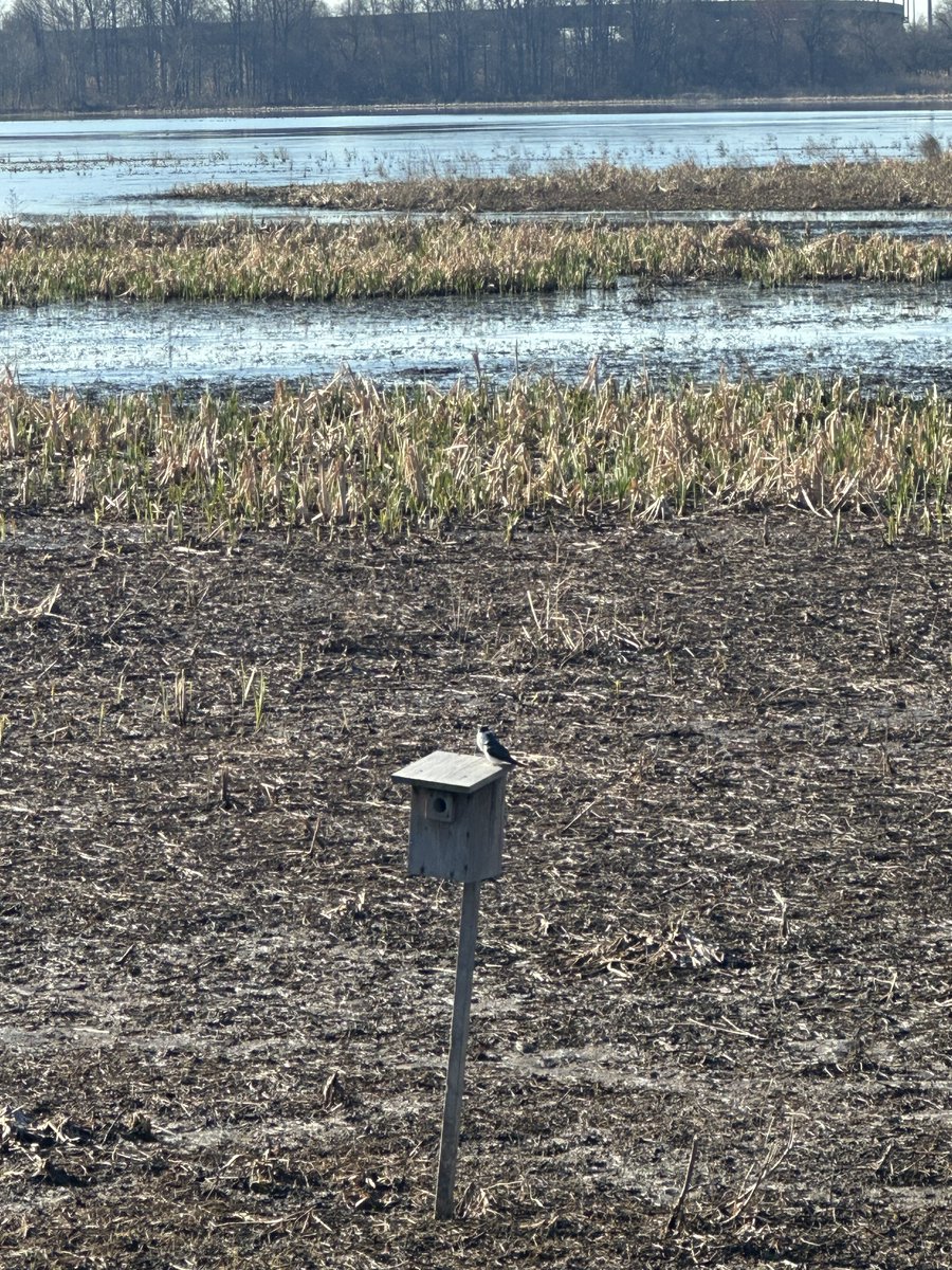 yuribeast tweet media