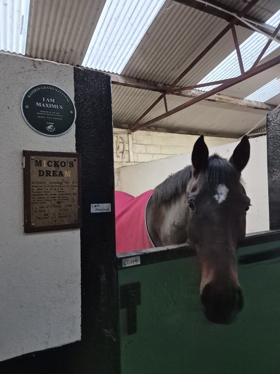 Road To Cheltenham tweet media