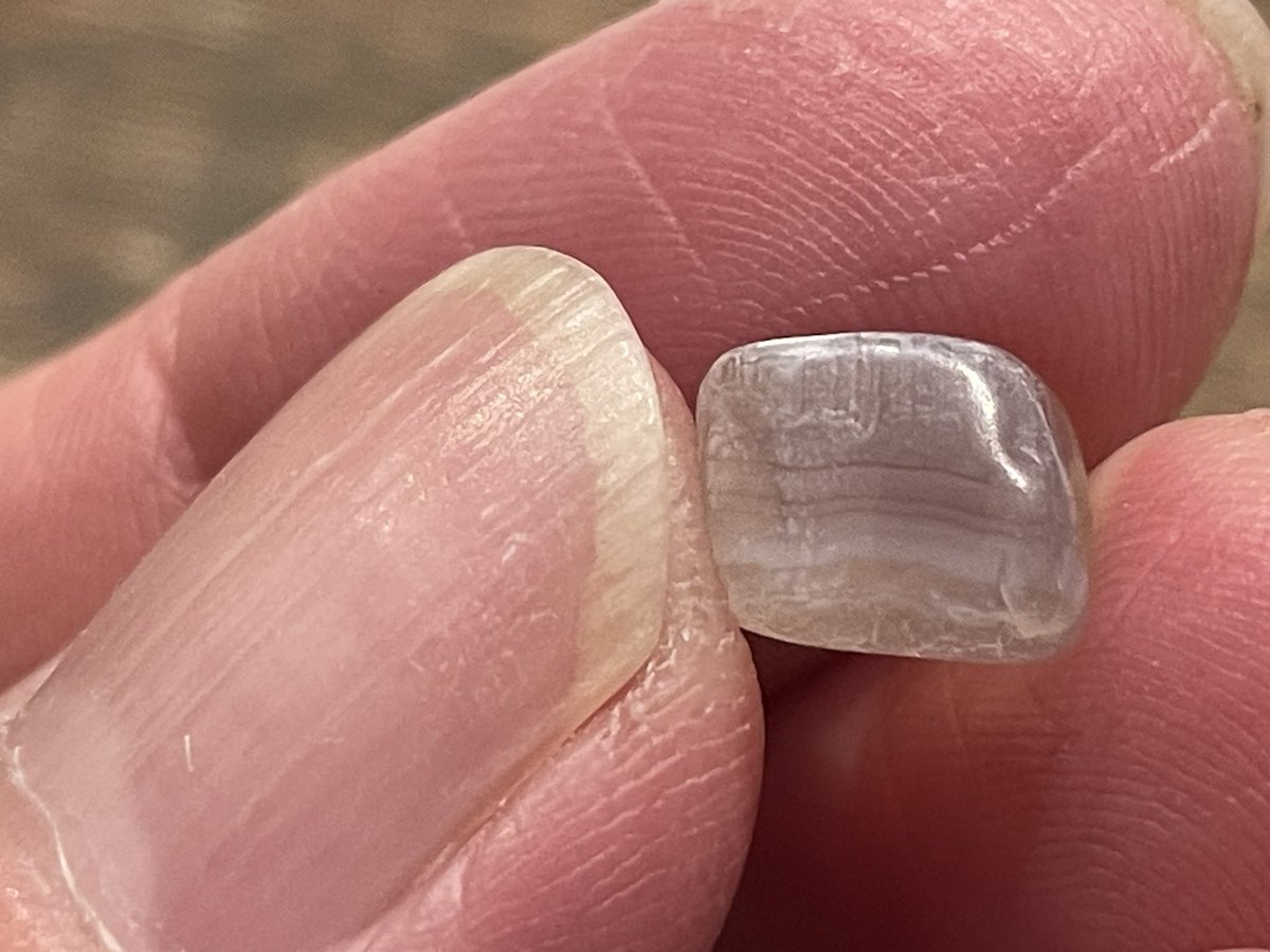 うーです tweet media