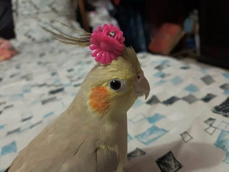 Hale 😎 tweet media