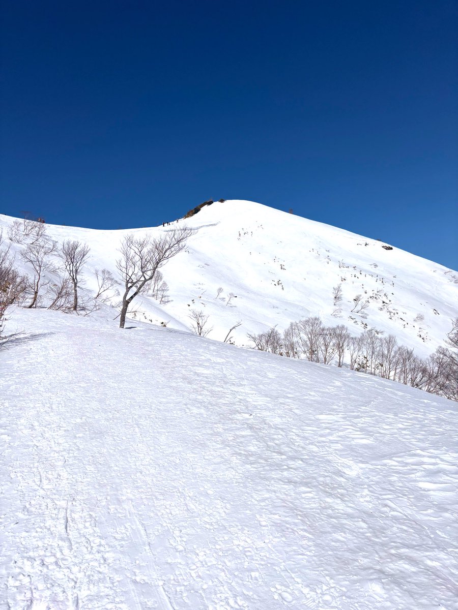 ひとりが好きなもいくり tweet media