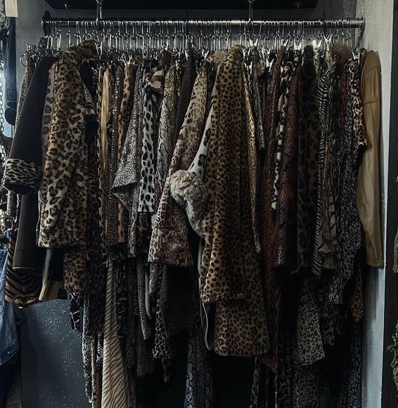 Celineboys tweet media