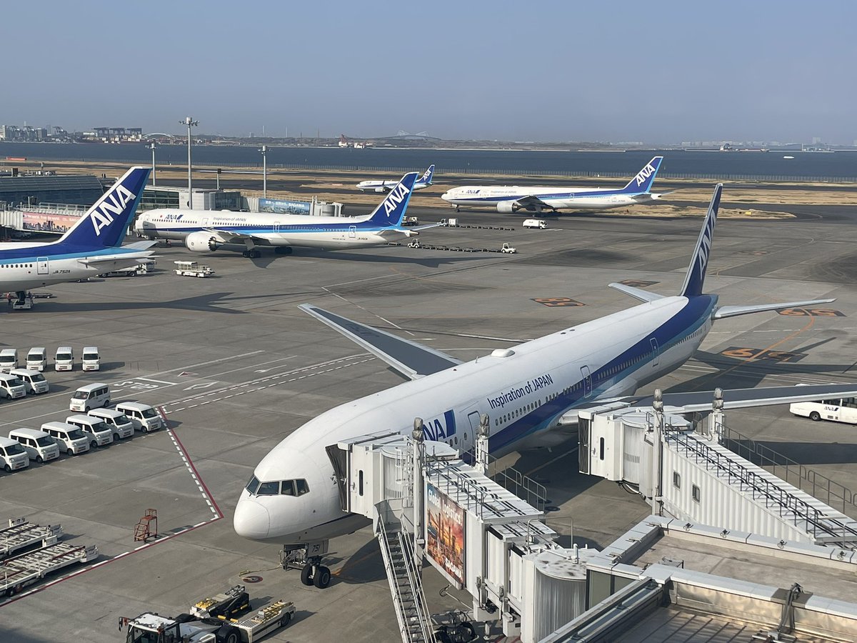 なしこ✈︎ tweet media