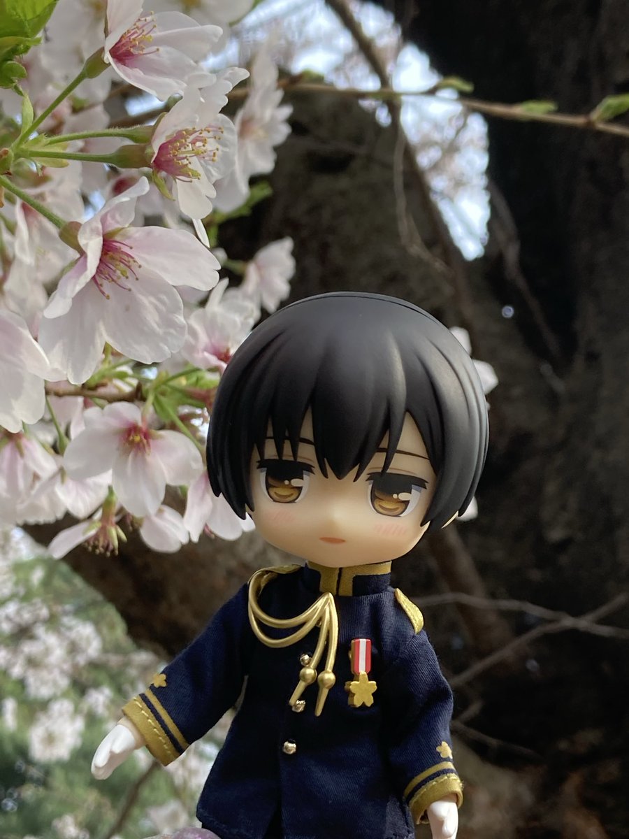 mintjulep_m's tweet photo. さすが桜🌸の似合うオトコ(🇯🇵笑) https://t.co/d2f2gRtfZu