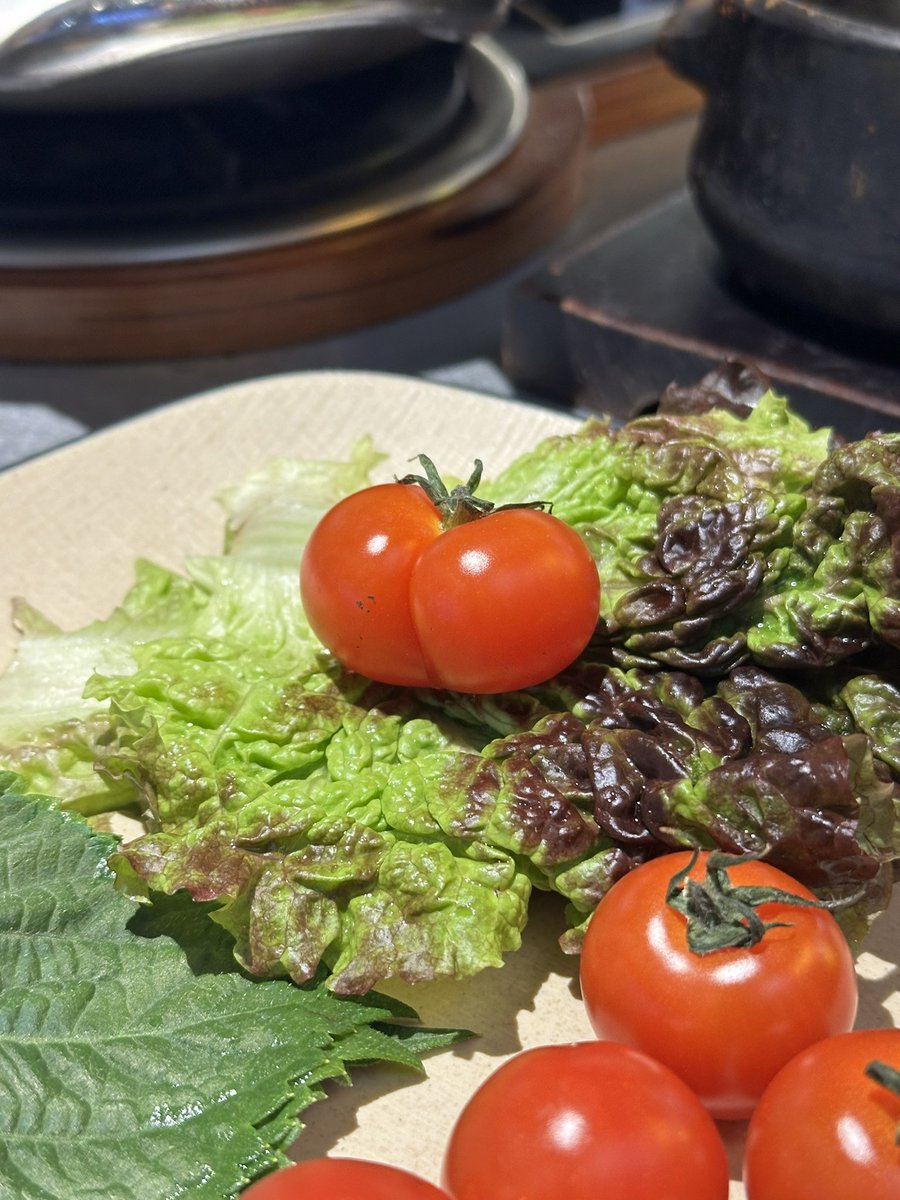 𝙎𝘾𝙍𝘼𝙏𝘾𝙃 tweet media