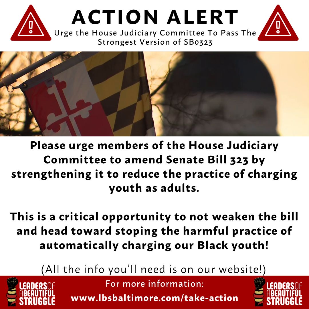 LBSBaltimore's tweet photo. 🚨  Action Alert:Urge the House Judiciary Committee To Pass The Strongest Version of SB0323🚨 https://t.co/qEojK5bkwC
