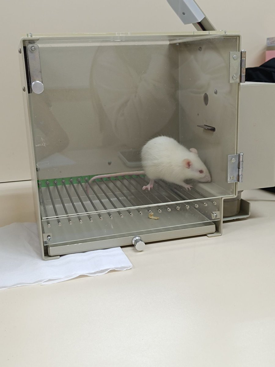 Alfred 🏄🏻♀️ tweet media